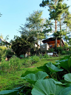 Birch cottage, Statenice